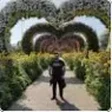 Muhamad A.