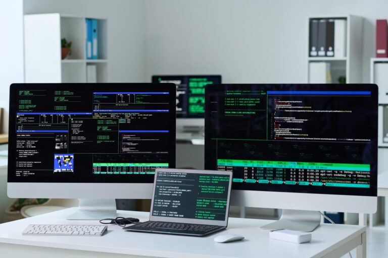 Web Developer Journey professional building modern web applications