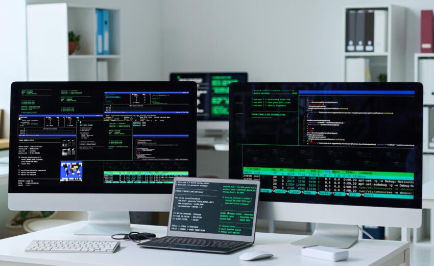 Web Developer Journey: 7 Powerful Lessons From Idea to Interface